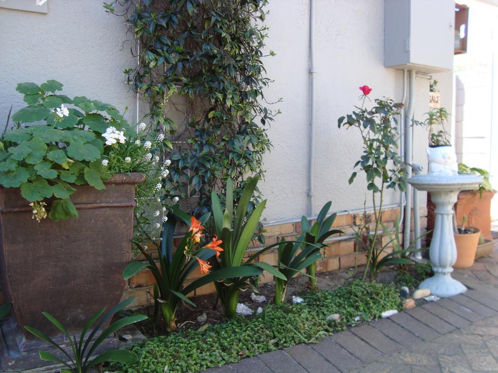 Brookdale House Hotell Cape Town Eksteriør bilde