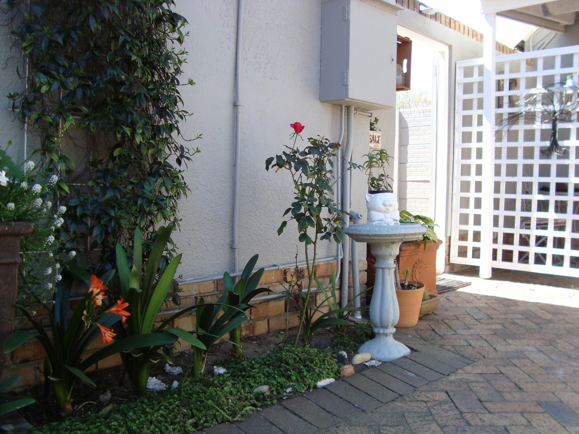 Brookdale House Hotell Cape Town Eksteriør bilde
